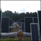 Small image of Row of solar panels