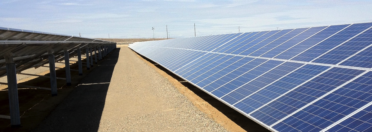 NLH1 solar field