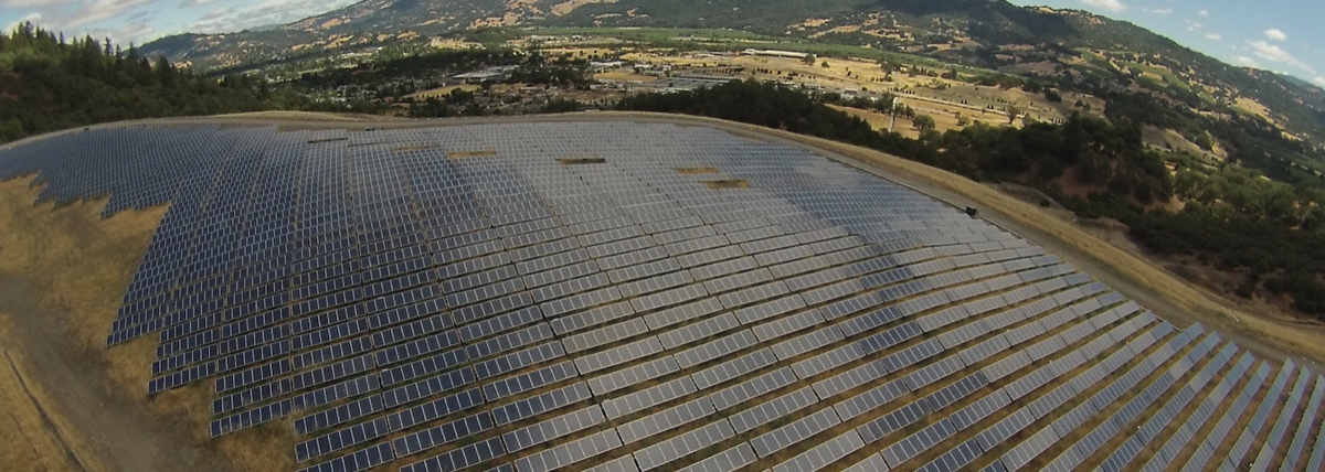 Cloverdale 2 solar field
